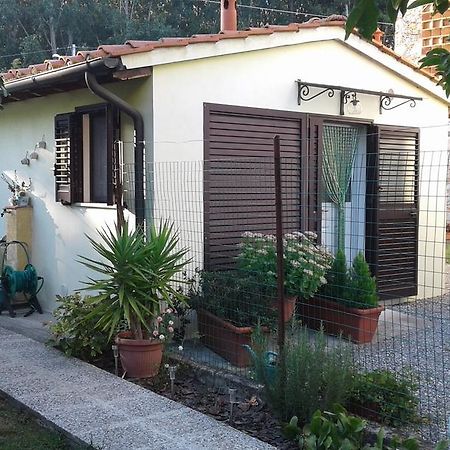 Da Lilly Apartment Lucca Bagian luar foto