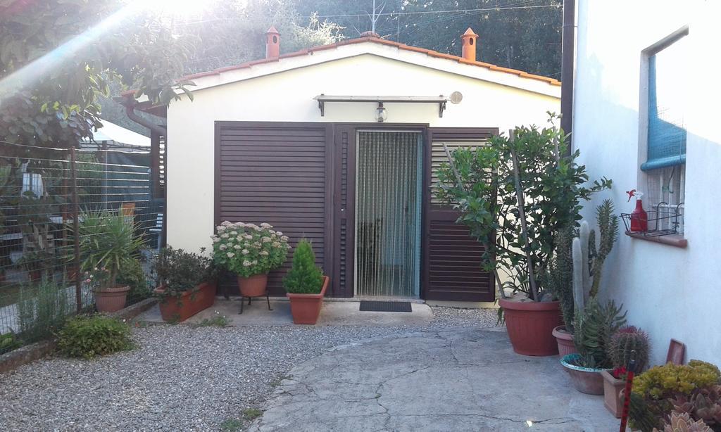Da Lilly Apartment Lucca Bagian luar foto