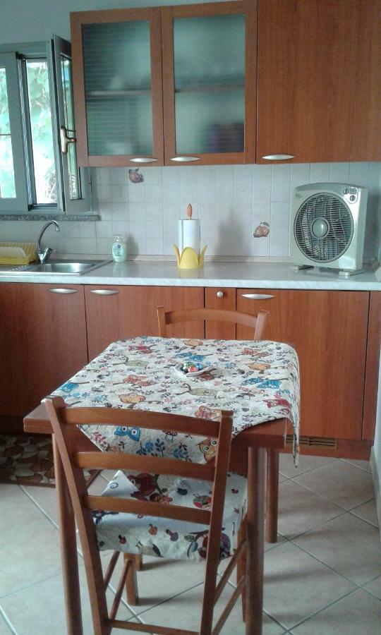 Da Lilly Apartment Lucca Bagian luar foto